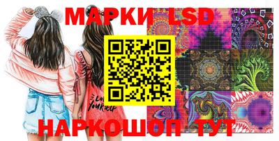 крисы Донецк