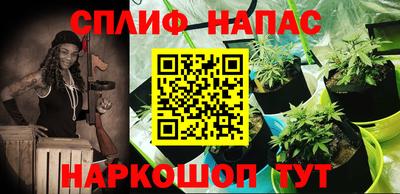 мяу мяу мука Дубна